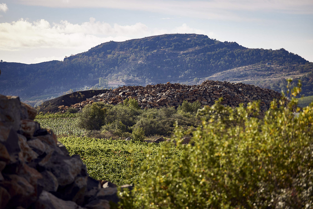 pile of rocks in a vineyard with mountain views behind.