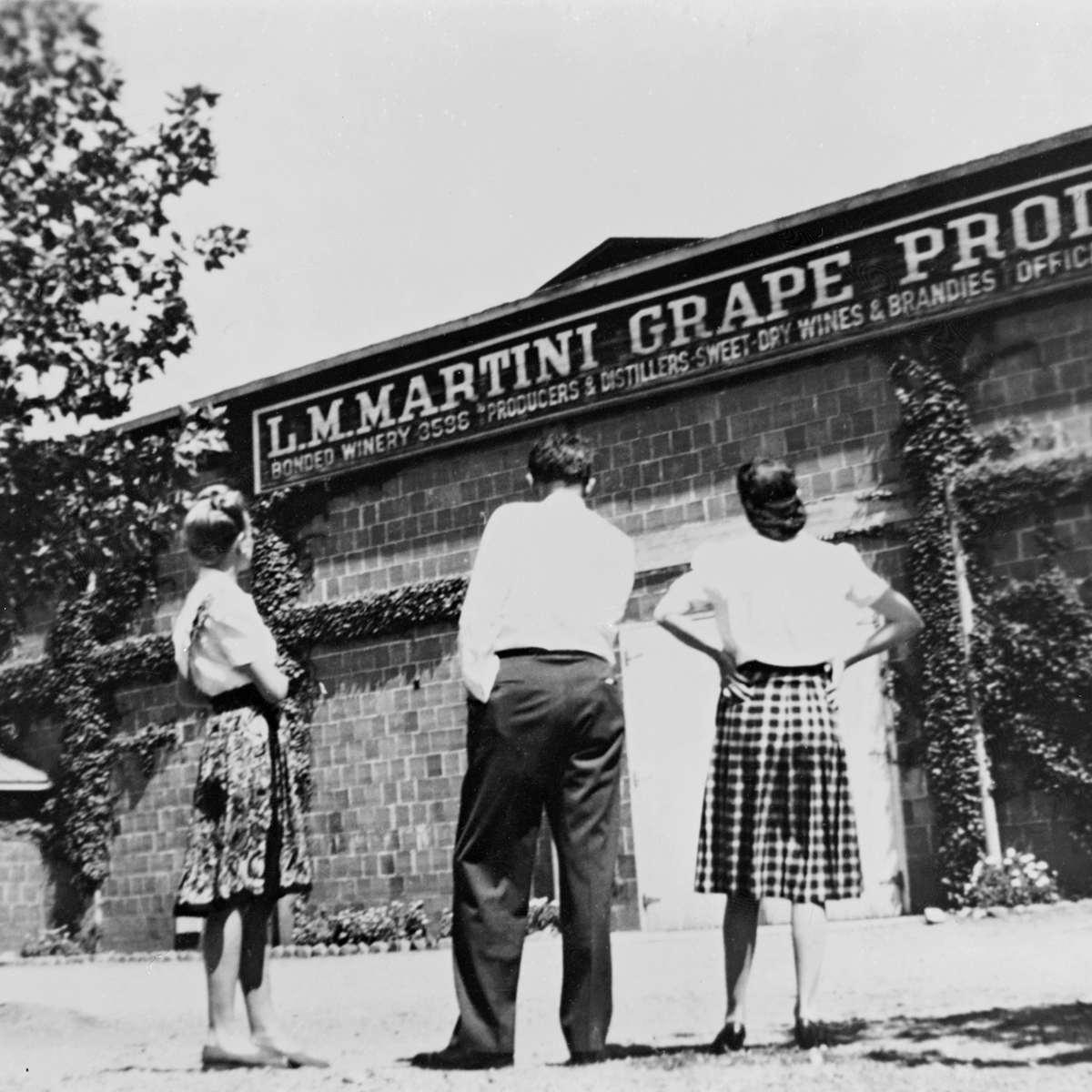 Louis M. Martini History