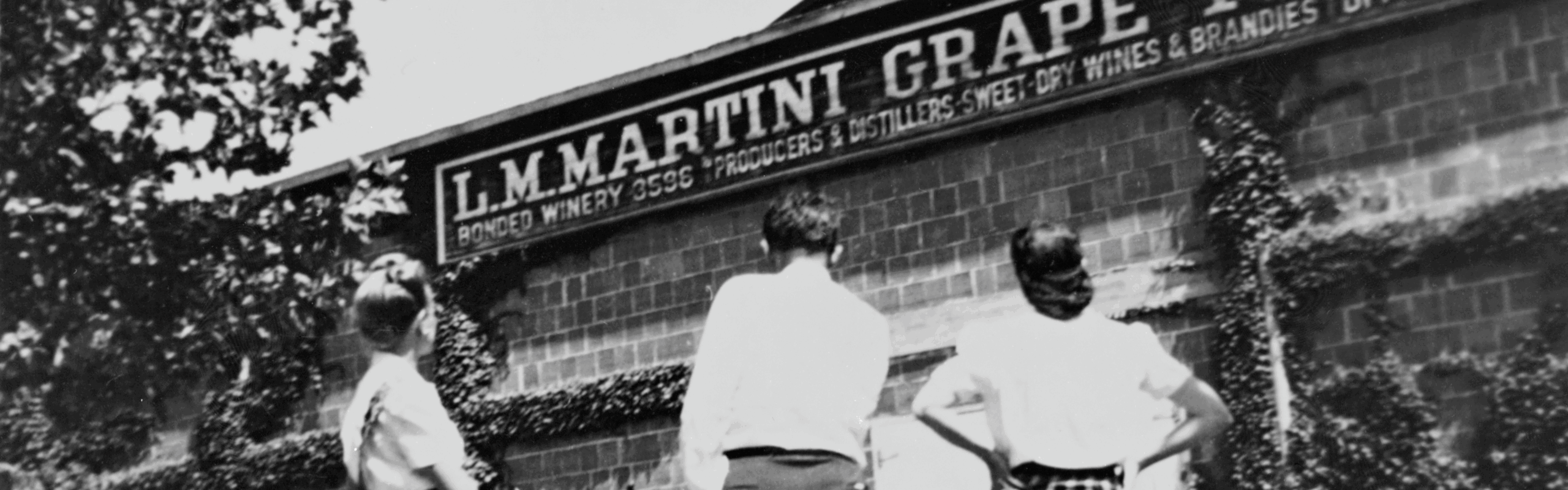 How Our Winemaking Has Evolved