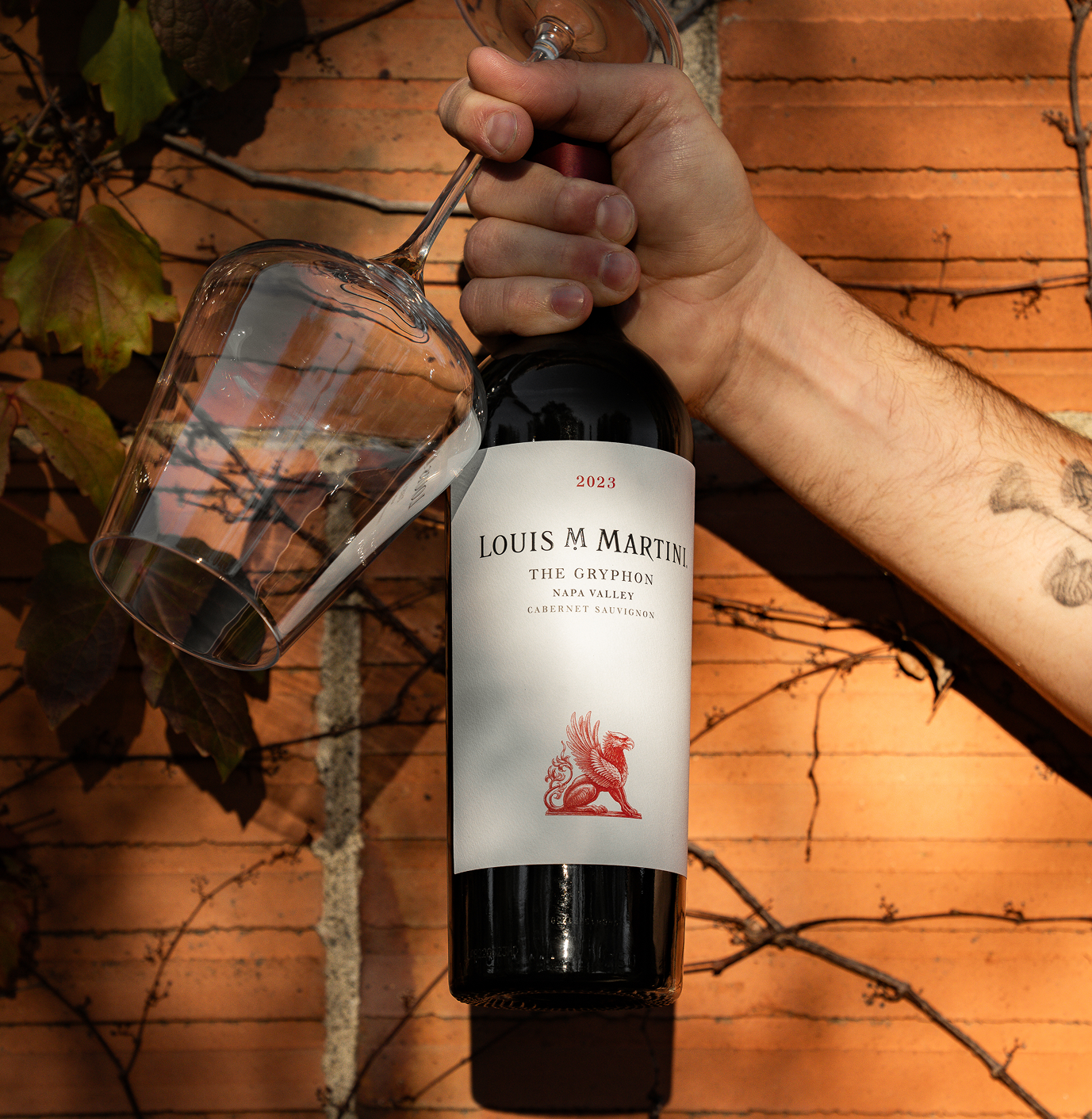 bottle of the gryphon cabernet sauvignon with wine glass