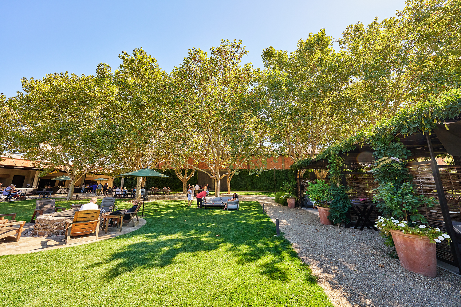 martini park outdoor event space at louis martini