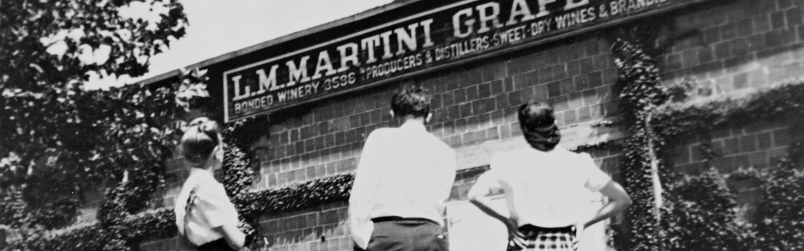 5 Things You Didn’t Know About Louis M. Martini