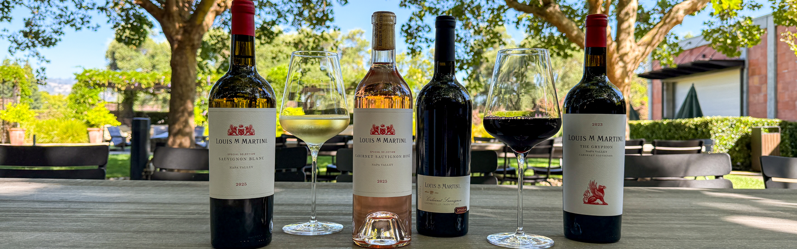 the best wines to drink this summer