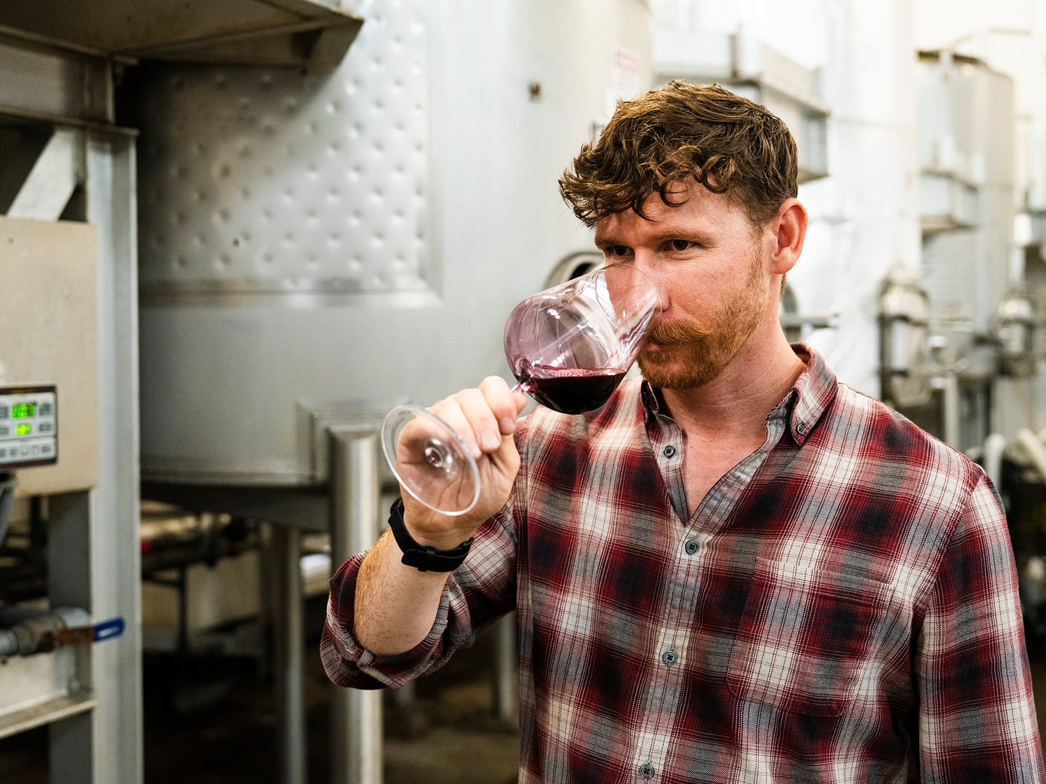 winemaker at Louis M. Martini during harvest